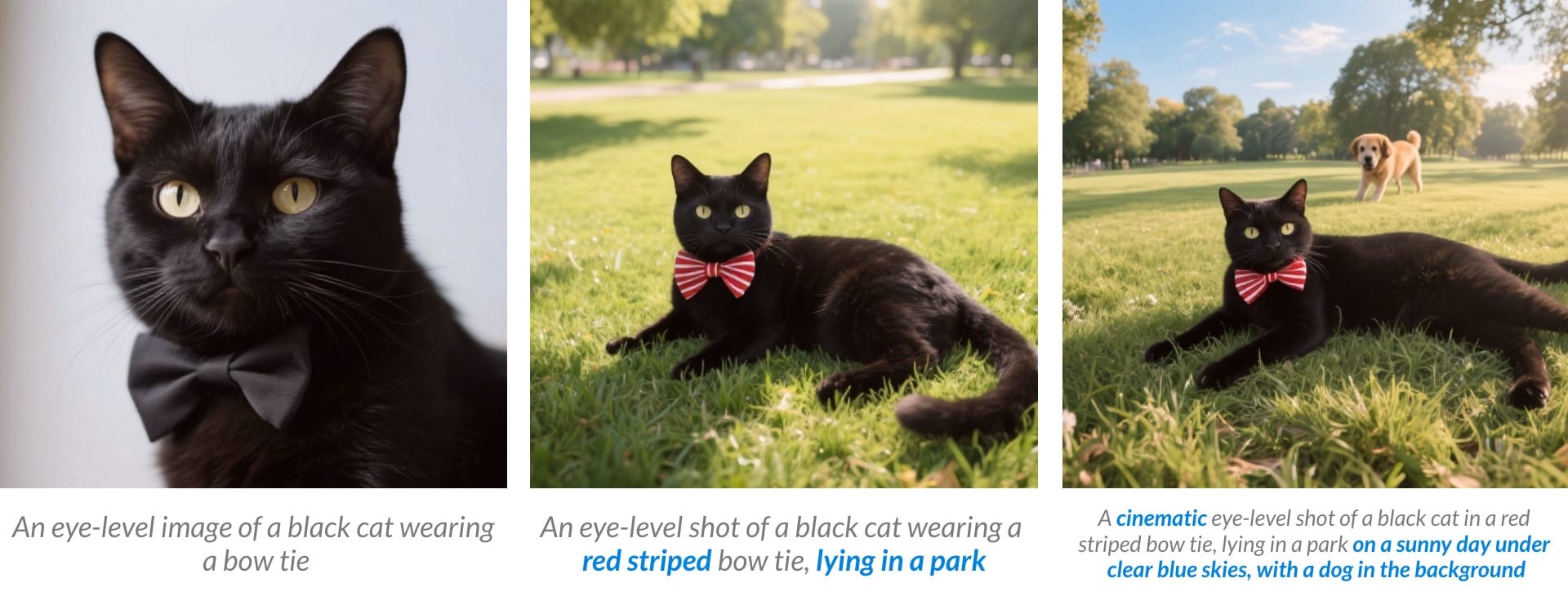 Three images of a black cat with a bow tie: one plain studio portrait, one lying on grass in a park, and one cinematic shot with a dog in the background.