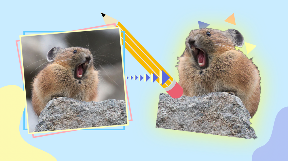 Remove Image Background — Kapwing