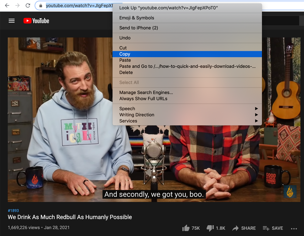 Fast Video Downloader How to Quickly and Easily Download Videos from