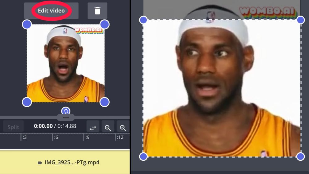 How to Bring a Photo to Life With a Deepfake App