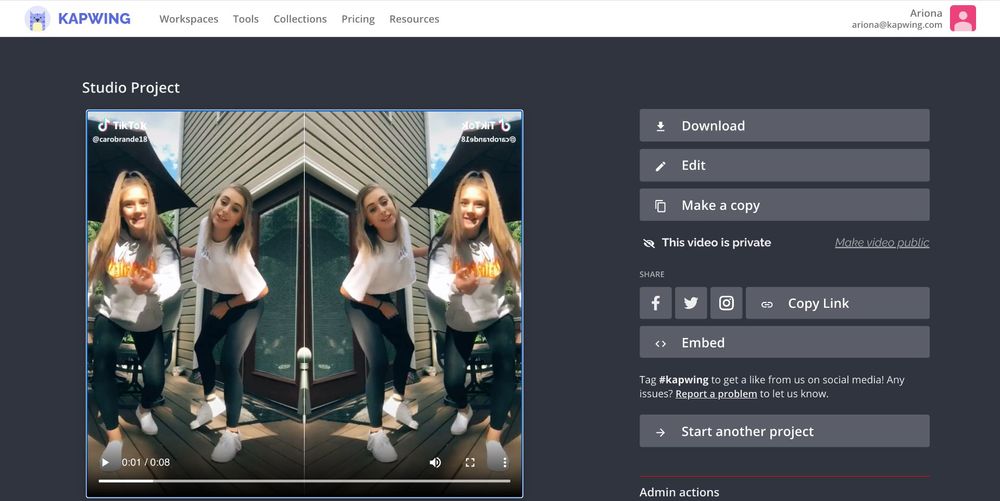 How to Mirror a Video or Image