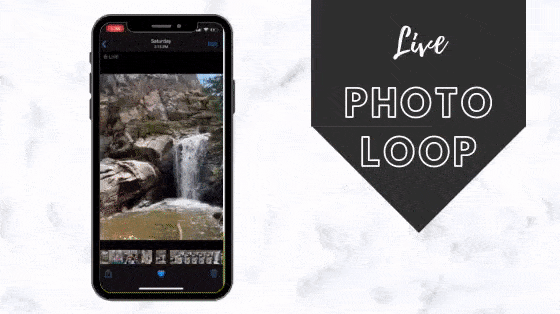 How To Make A Live Photo Loop Like a GIF