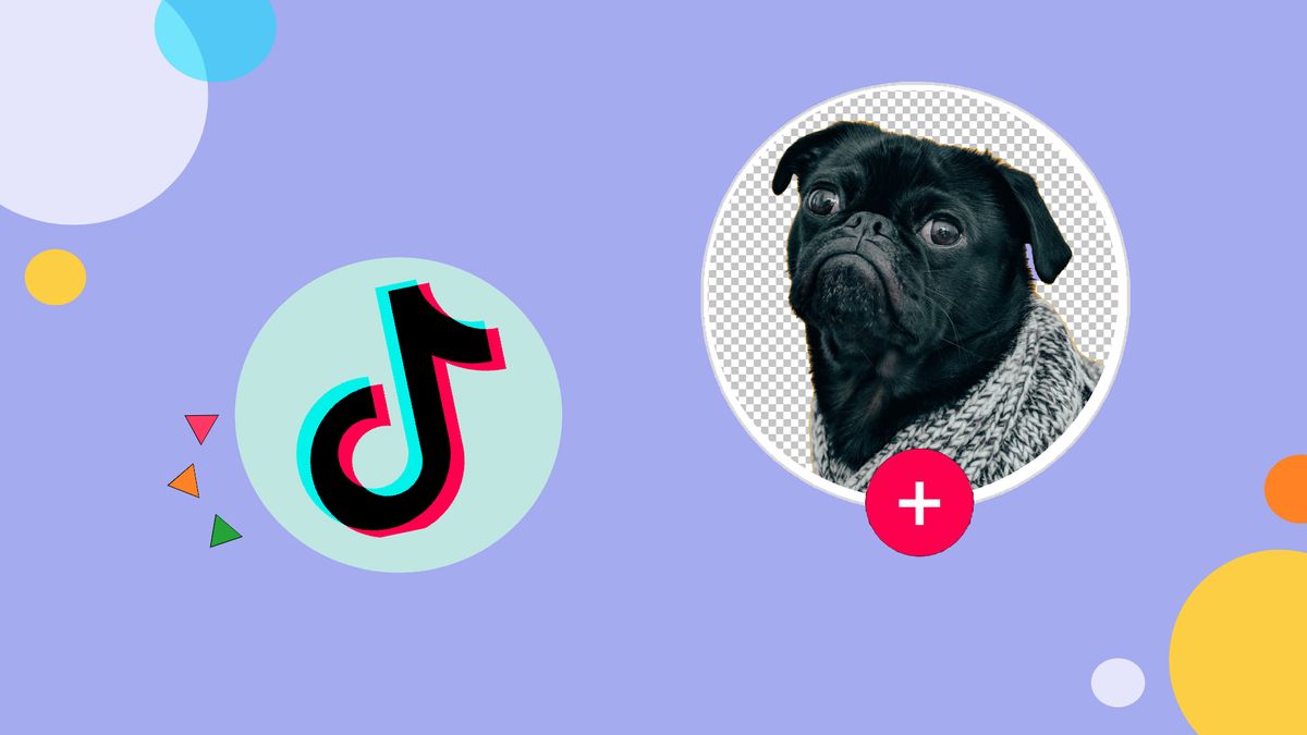 How to Get a Transparent Profile Picture on TikTok