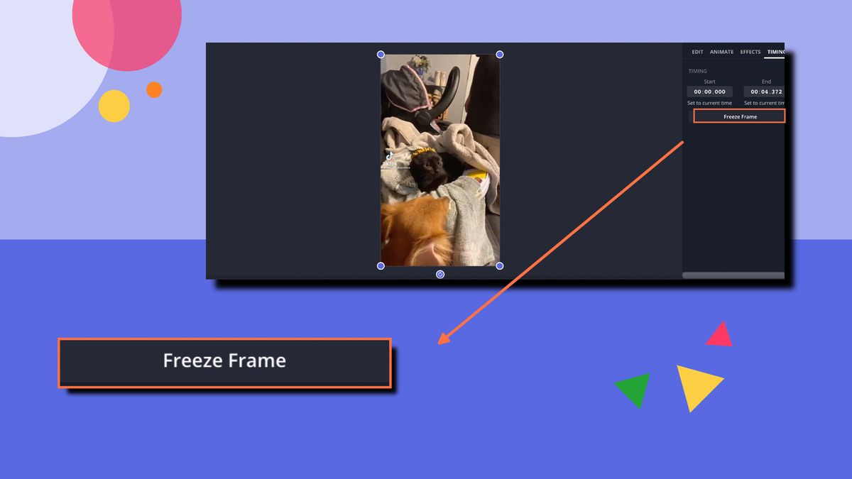 Add a Freeze Frame to your Video for Free Online