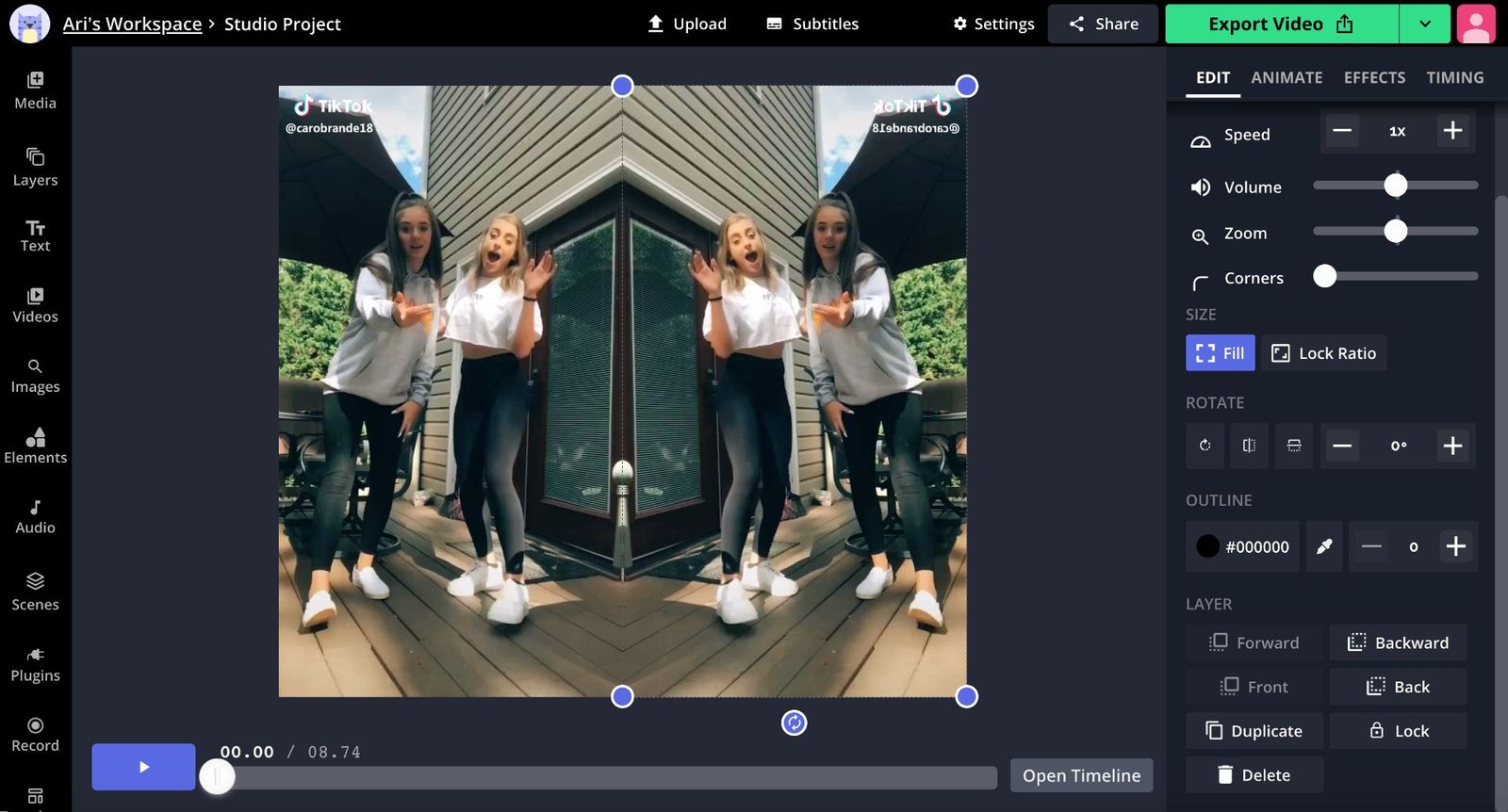 How to Mirror a Video or Image