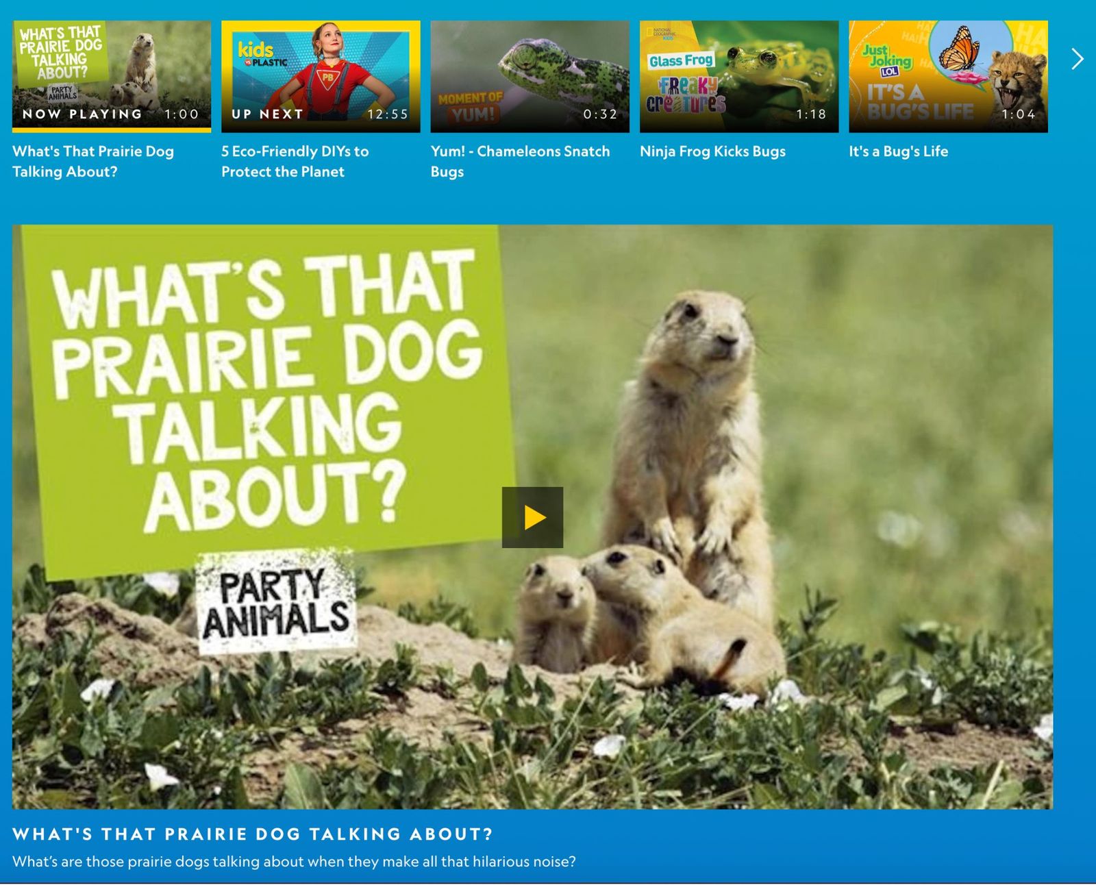 Five Fun Virtual Activities for Students