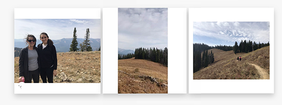 How to Post Multiple Images With Different Sizes to Instagram