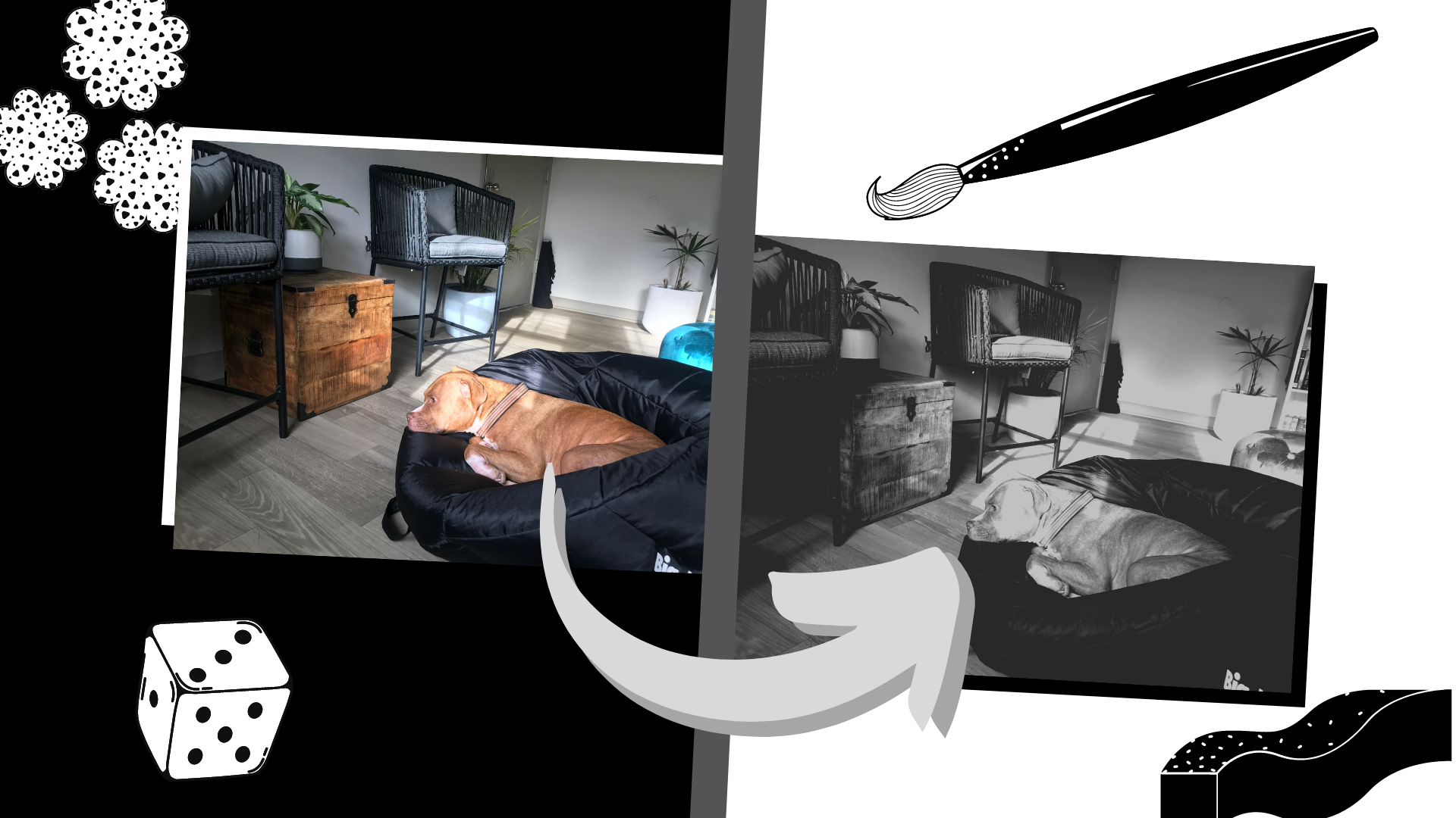 The Easiest Black and White Photo Editor Online