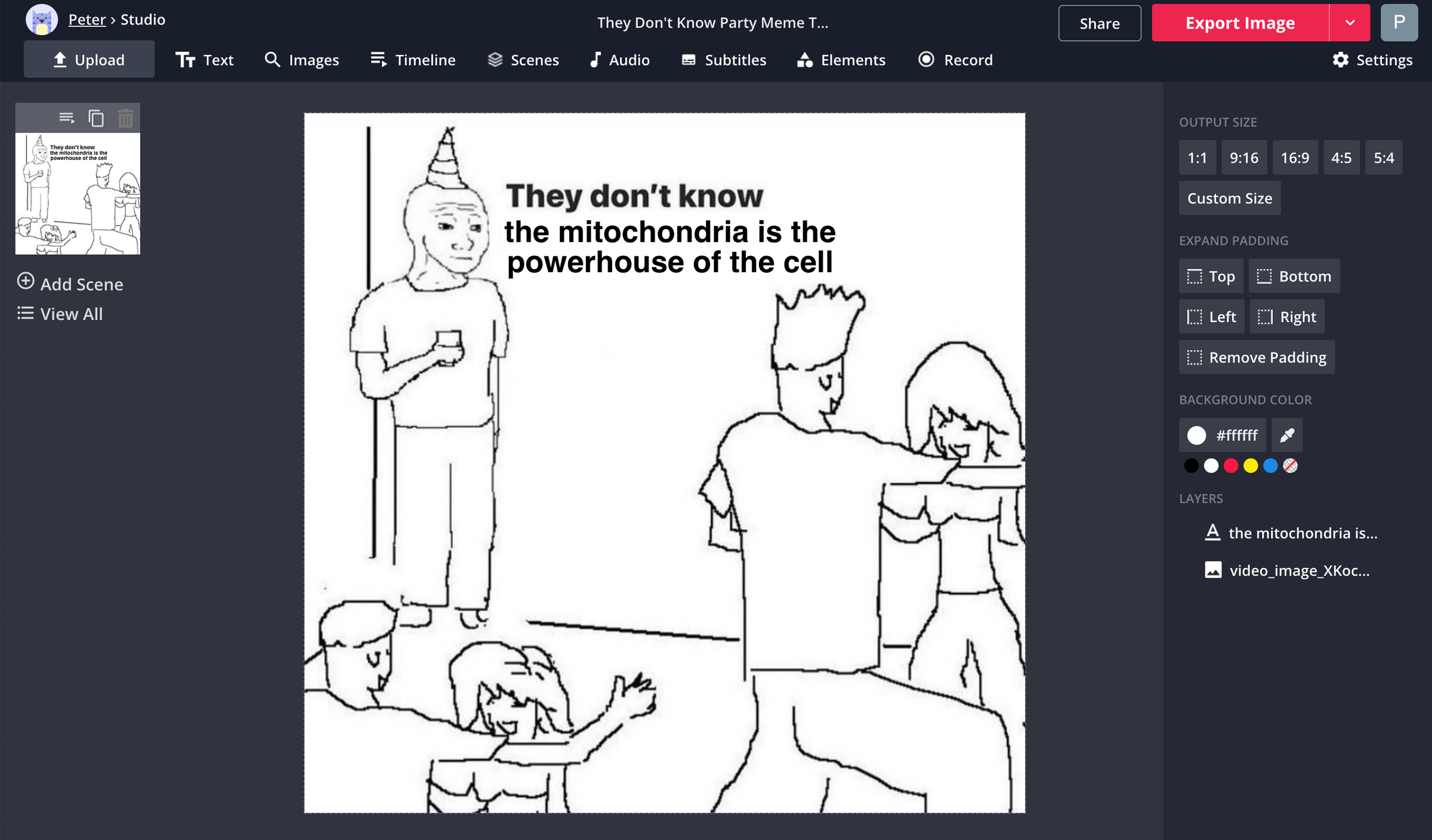 How to Make Your Own Meme Online