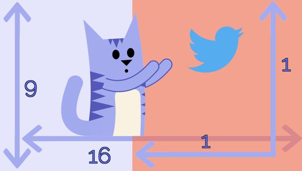 All Photo & Video Dimensions for Social Media Posts in 2021
