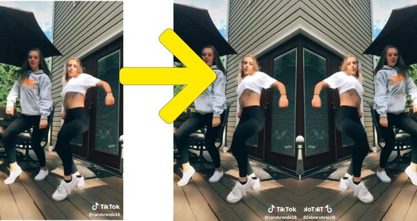 How to Mirror a Video or Image