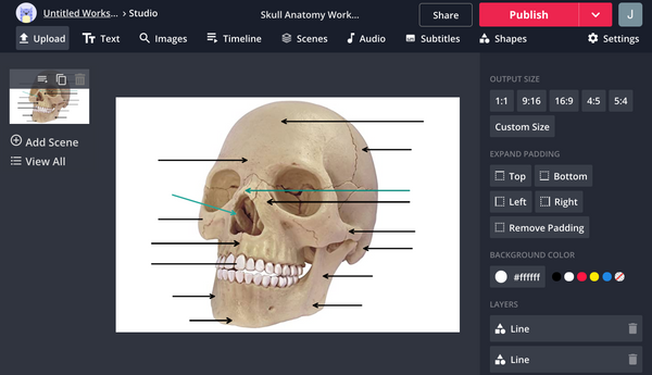 How to Create Your Own Labeled Worksheet to Support Content Memorization