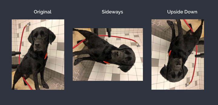 How to Turn a Video Sideways