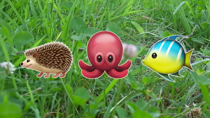 How to Add Emojis to a Video or Image