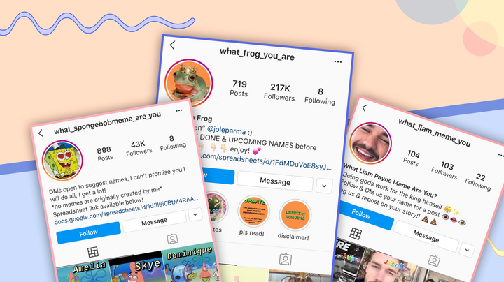 "What ____ Are You" Name Instagram Accounts: How to make your own