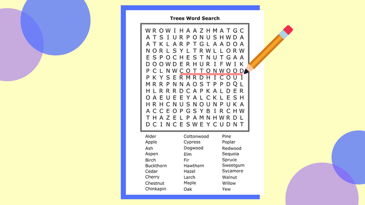 How to Make a Word Search Online
