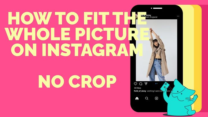 How to Fit the Whole Picture on Instagram Without Cropping